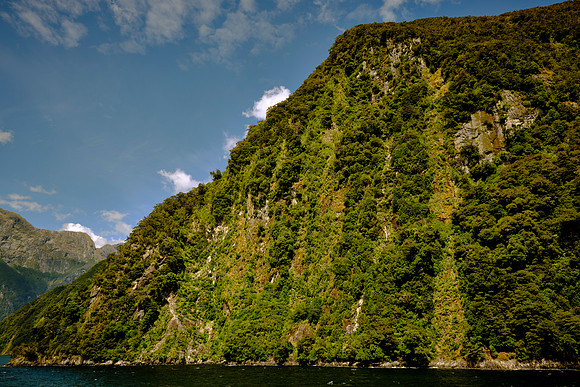 Rocks forming Milford Sound originated over 600 million years ago on the Gondwana supercontinent.
