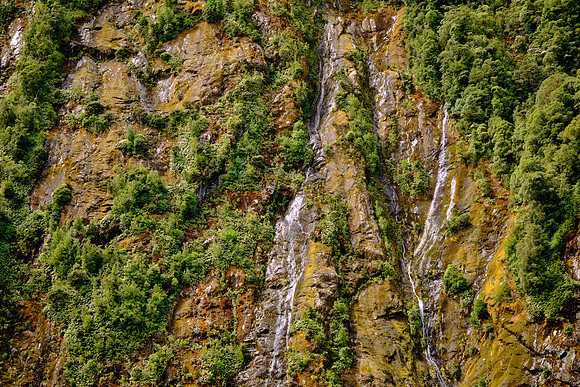 Heavy rainfall (over 300 inches annually) sustains lush vegetation over this rugged terrain.