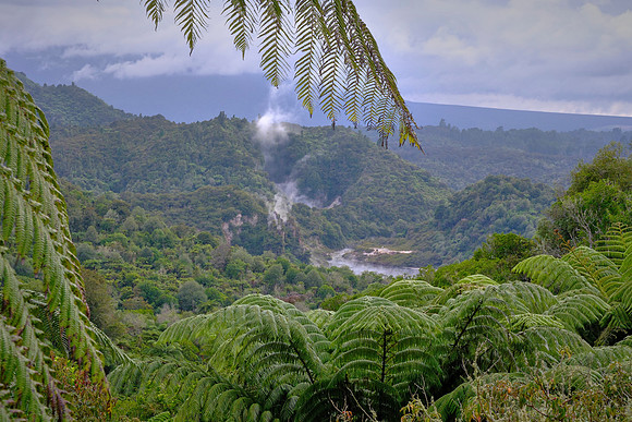 Waimangu Volcanic Valley is a geothermal rift valley formed by the 1886 eruption of Mount Tarawera.