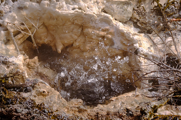 Young geyser just getting started.