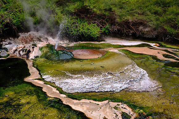 These silica deposits trap microbes such as Phormidium that create colorful stromatolites and encrustations.