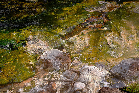 Opal-A dominates, forming sinter terraces, geyserite, and microbial mats around features like Frying Pan Lake.