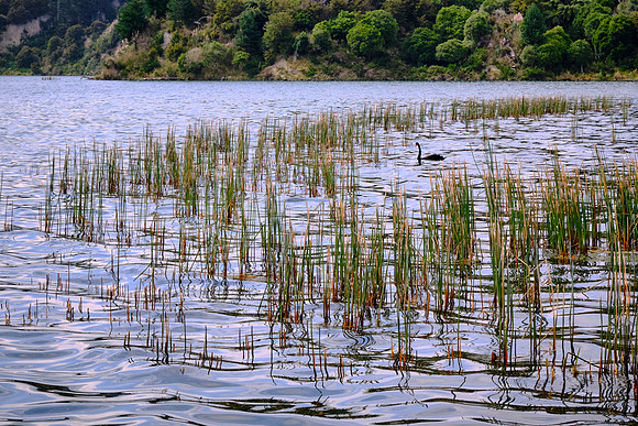 The valley receives, on average, 54 inches of precipitation annually.