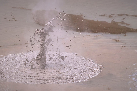 Black Mud Pool bubbles from gases like hydrogen sulfide, with grayish mud splattering rhythmically.