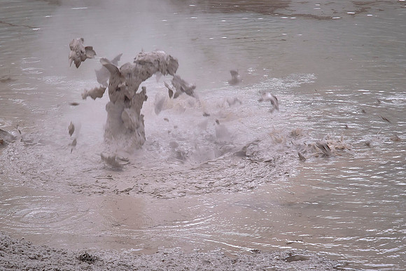 An erupting junior mud pot in Waimangu Volcanic Valley.