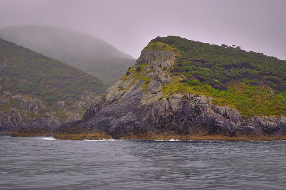 Dolphins thrive in these sheltered waters alongside whales, seals, and diverse marine life.