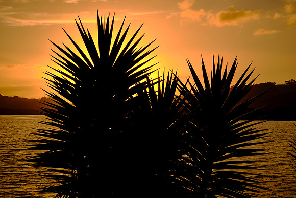 Sunset over Paihia in the Bay of Islands.