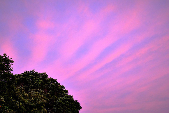 Sunset over Paihia in the Bay of Islands.