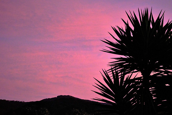 Sunset over Paihia in the Bay of Islands.