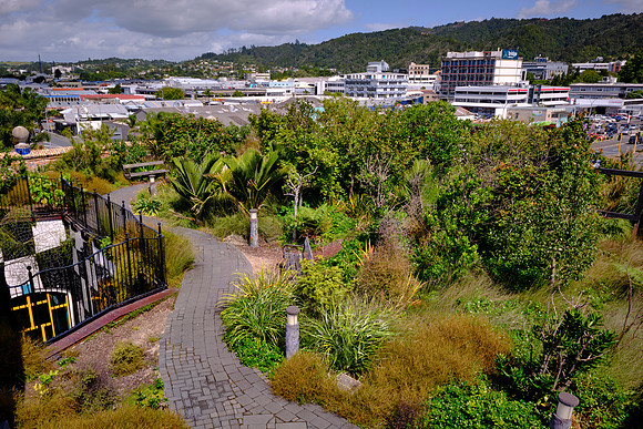 The art center has a living roof alive with a variety of native plants.
