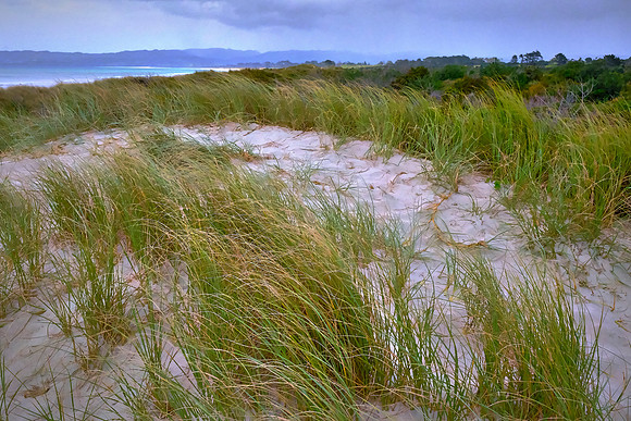 Tasmania, Australia, and New Zealand are clearly target-rich environments that all deserve much more time.