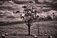2026 Mar - Australia-New Zealand in B&W