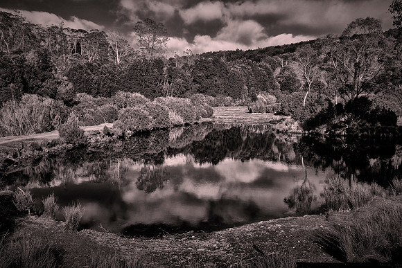 On the road from Hobart to Cradle Mountain National Park, Tasmania