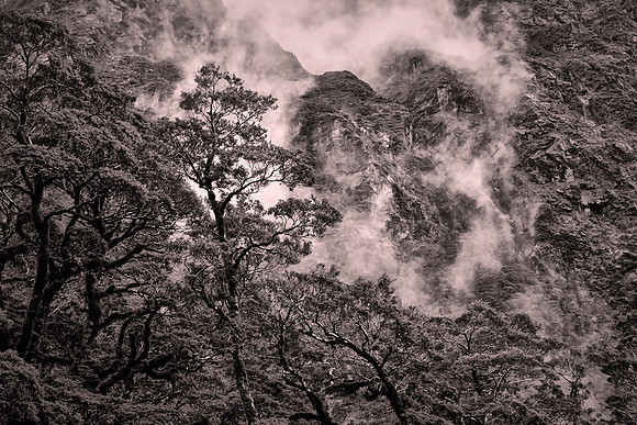 Fiordland National Park, Southern Alps, New Zealand
