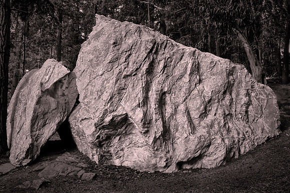 Glacial erratic, Queenstown Gardens, New Zealand