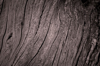 2026 Mar - Australia-New Zealand in B&W