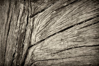2026 Mar - Wood Bits in B&W