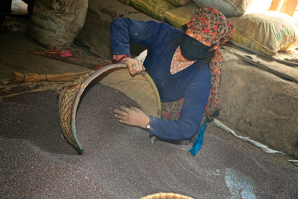 Processing mustard seed