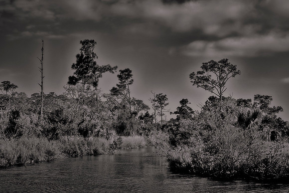 Backroads of Volusia County, Florida