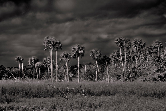 Backroads of Volusia County, Florida