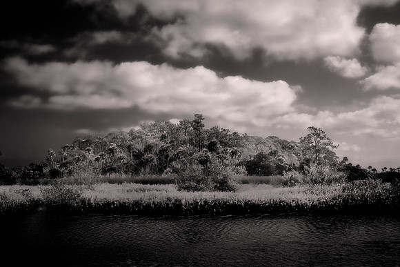 Backroads of Volusia County, Florida