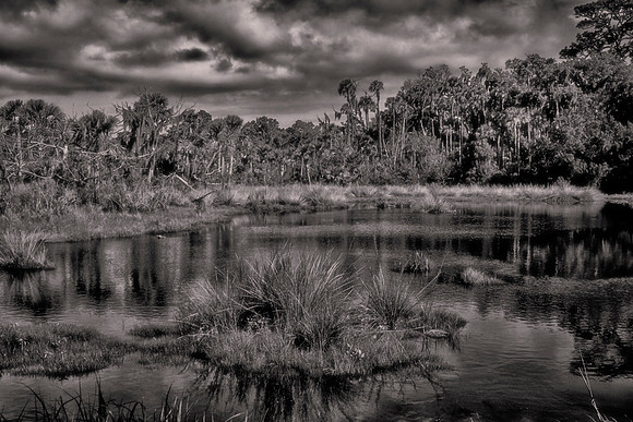 Backroads of Volusia County, Florida