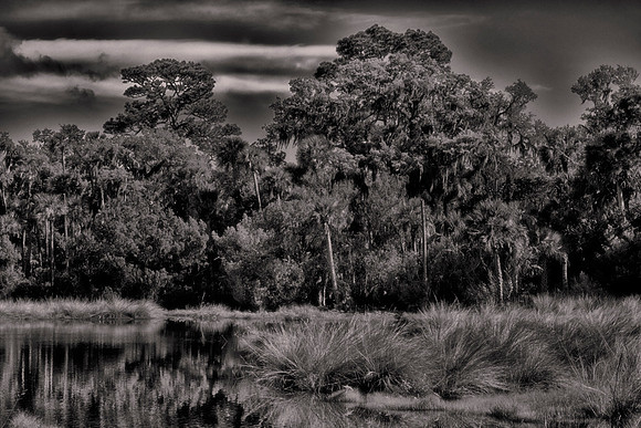 Backroads of Volusia County, Florida