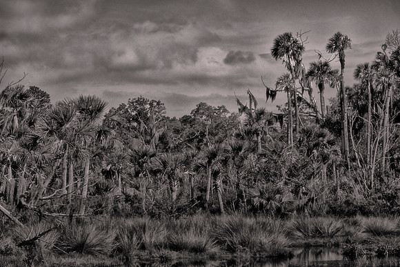 Backroads of Volusia County, Florida