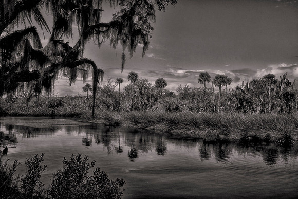 Backroads of Volusia County, Florida