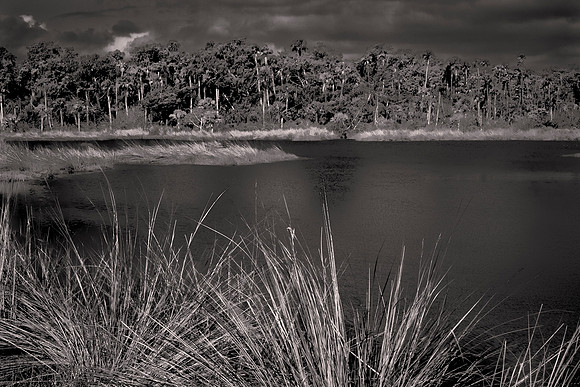Backroads of Volusia County, Florida