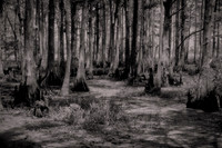 2026 Apl - Louisiana in B&W