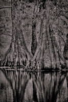 2026 Apl - Louisiana in B&W
