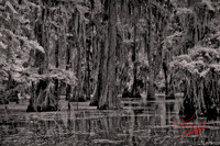2026 Apl - Louisiana in B&W