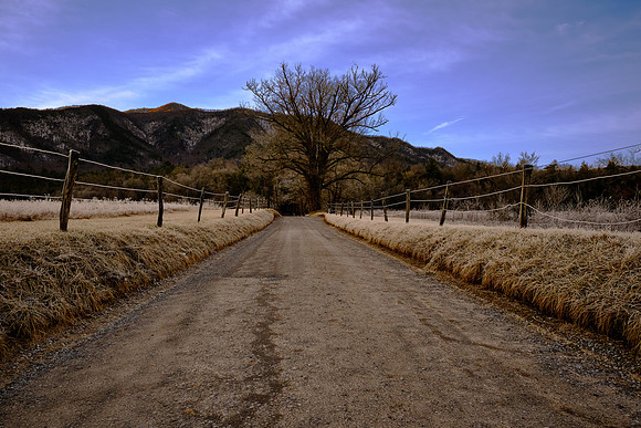 Sparks Lane just after sunrise.