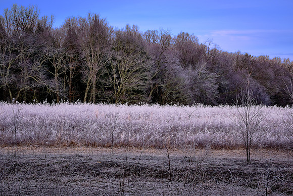 Hoarfrost can only form when the air and objects are at or below freezing. The air must be quite moist for hoarfrost to form.