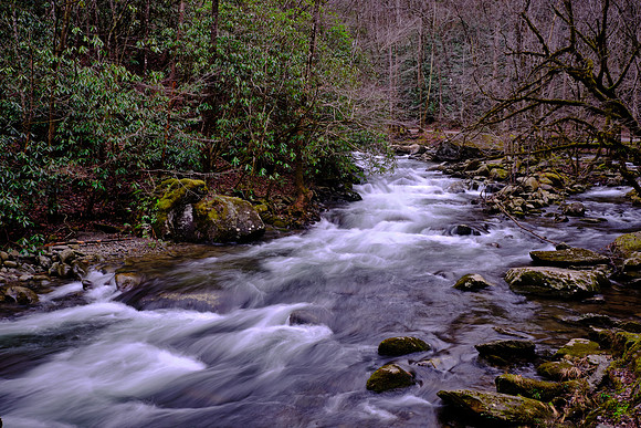 Middle Prong on the Little River, above Townsend, Tennessee