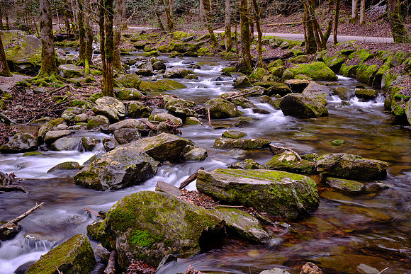 Middle Prong on the Little River, above Townsend, Tennessee