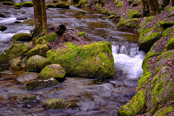 Middle Prong on the Little River, above Townsend, Tennessee