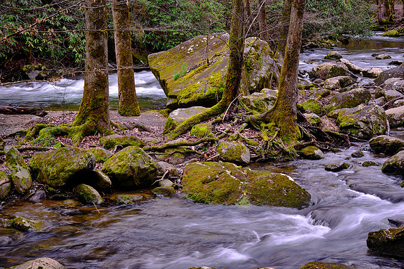 Middle Prong on the Little River, above Townsend, Tennessee