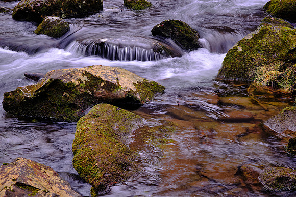 Middle Prong on the Little River, above Townsend, Tennessee