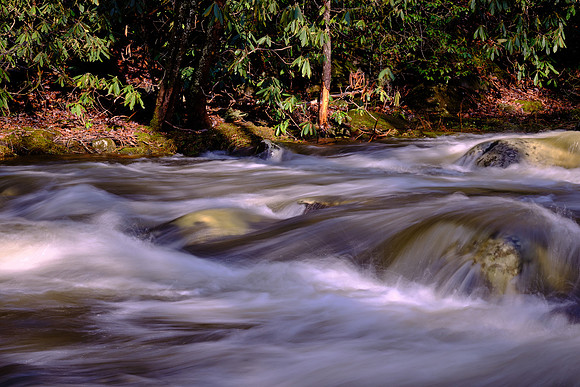 Middle Prong of the Little River, above Townsend, Tennessee