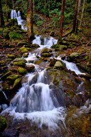 2023 Jan - Great Smoky Mountains National Park