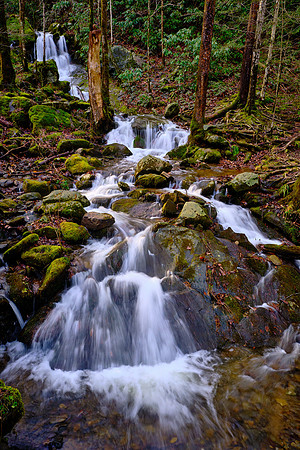 Waterfalls on the Middle Prong of the Little River, above Townsend, Tennessee