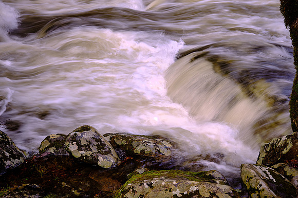 Middle Prong of the Little River, above Townsend, Tennessee