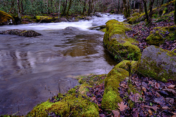 Middle Prong of the Little River, above Townsend, Tennessee