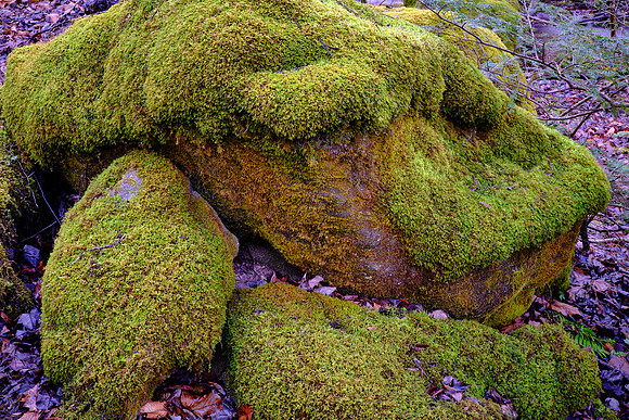 Middle Prong of the Little River, above Townsend, Tennessee