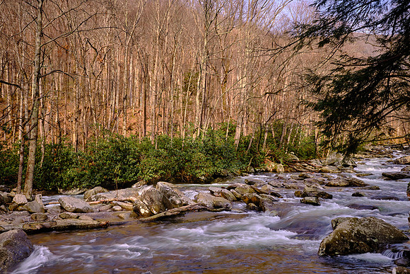 Chimneys Area, West Prong of the Little Pigeon River, Newfound Gap Road.