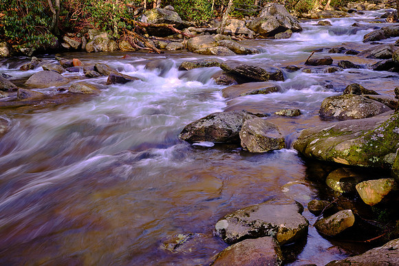 Chimneys Area, West Prong of the Little Pigeon River, Newfound Gap Road.
