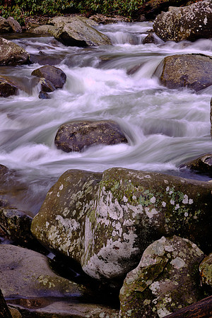 Chimneys Area, West Prong of the Little Pigeon River, Newfound Gap Road.