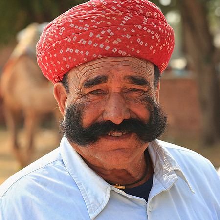 Nagaur Camel and Livestock Fair, Nagaur, Rajasthan